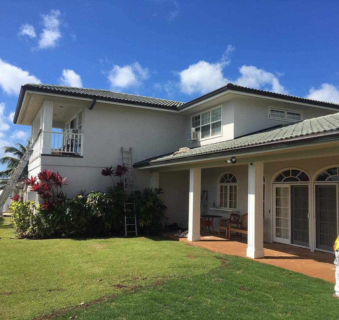 Professional painters in Hawaii