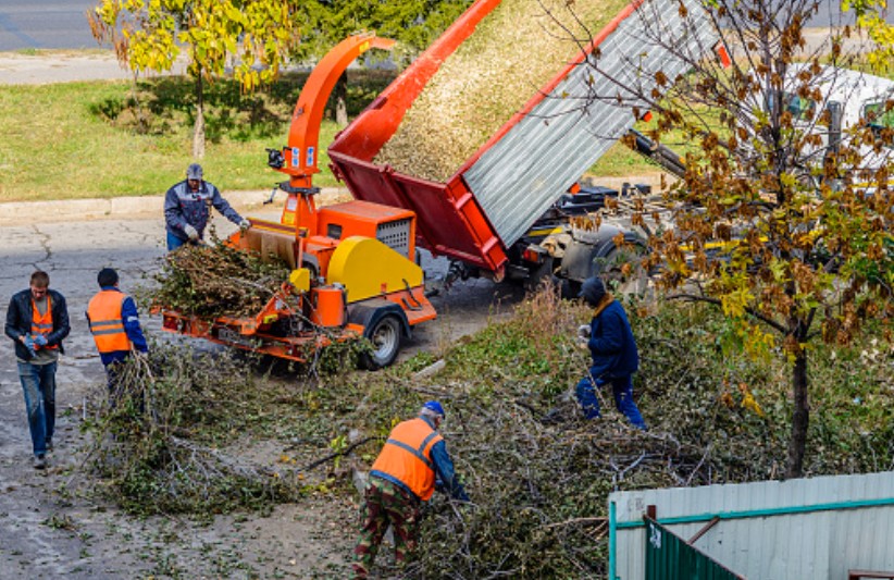 Advantages of hiring a reputable company for your tree removal in Darwin